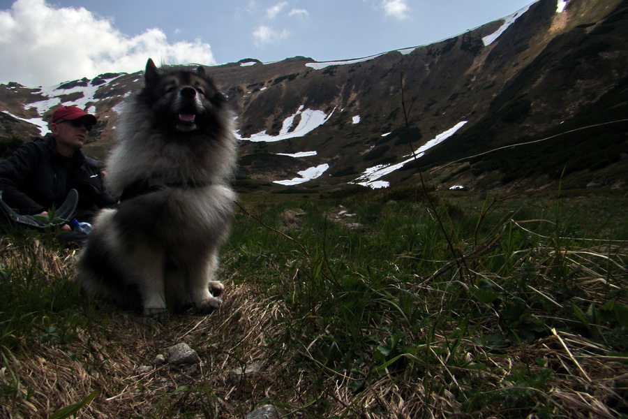 Ďumbier z útulne Brenkus (Nízke Tatry)