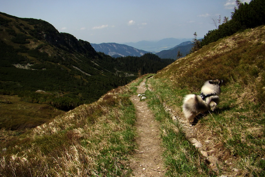 Ďumbier z útulne Brenkus (Nízke Tatry)