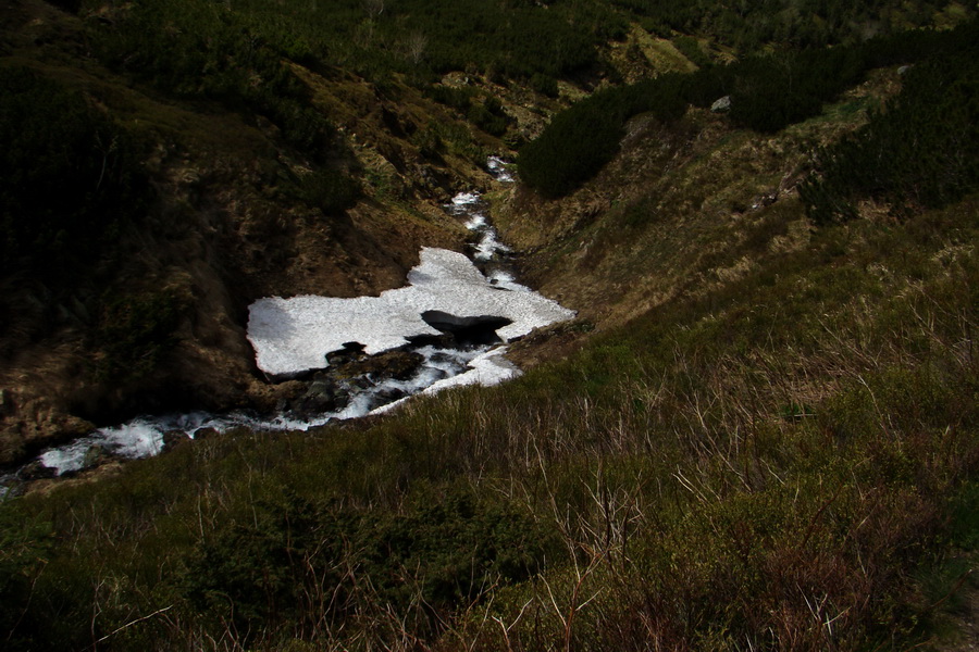 Ďumbier z útulne Brenkus (Nízke Tatry)