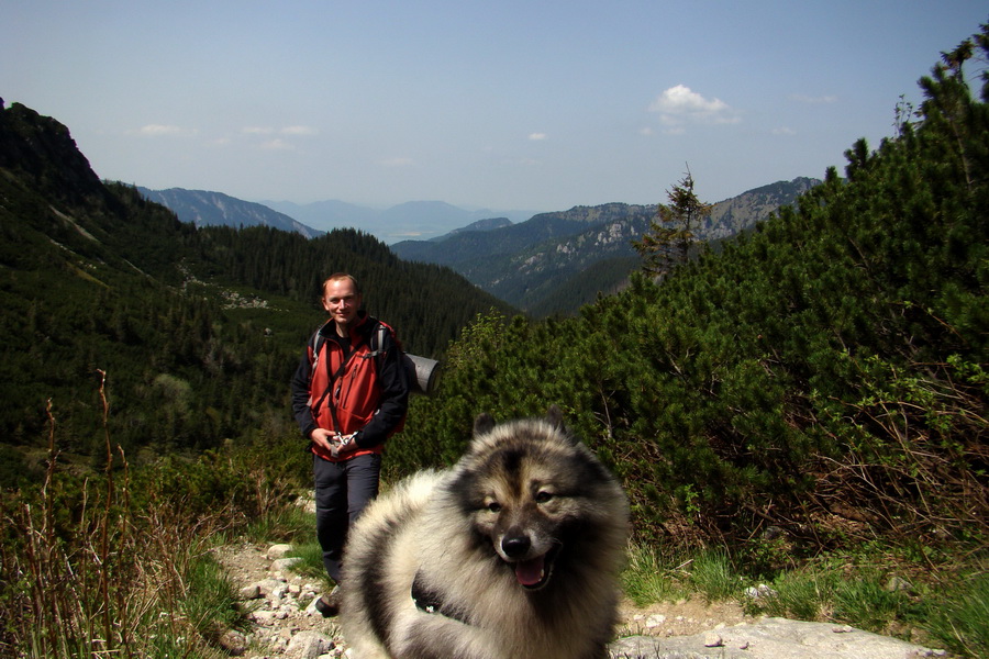 Ďumbier z útulne Brenkus (Nízke Tatry)