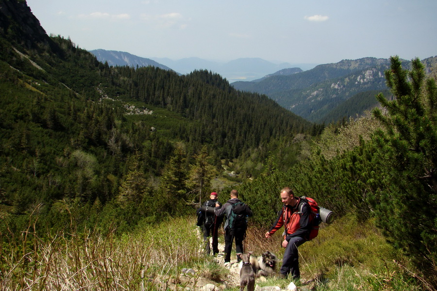 Ďumbier z útulne Brenkus (Nízke Tatry)