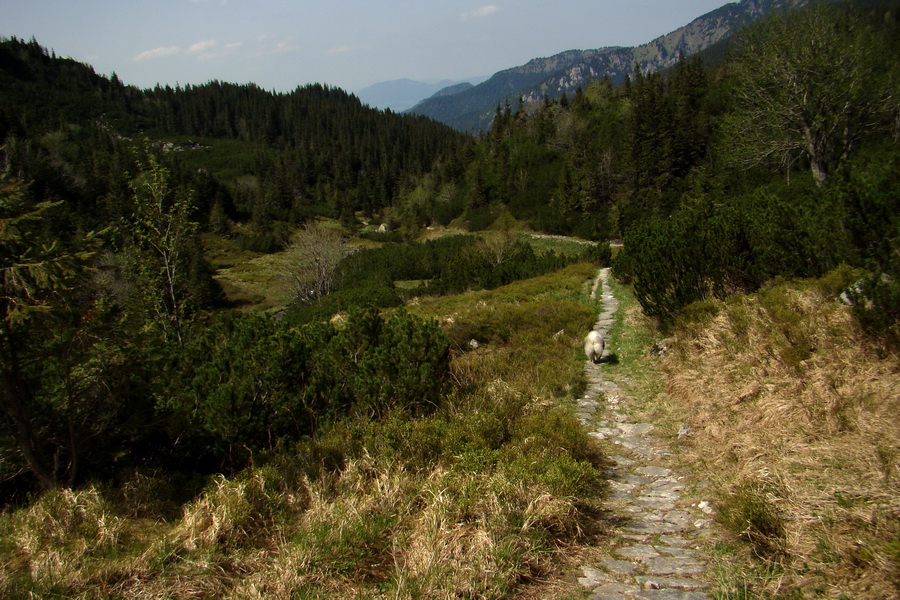 Ďumbier z útulne Brenkus (Nízke Tatry)