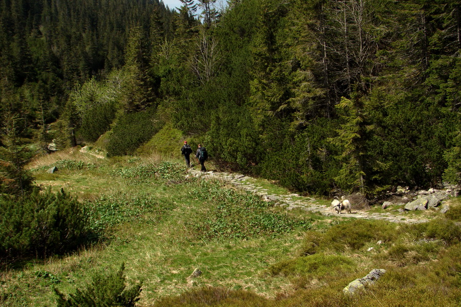 Ďumbier z útulne Brenkus (Nízke Tatry)