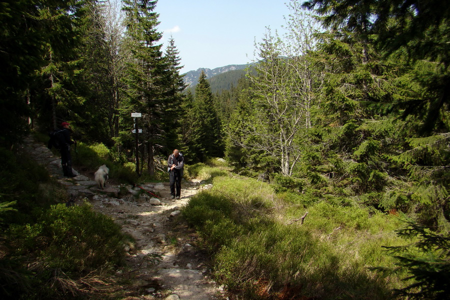 Ďumbier z útulne Brenkus (Nízke Tatry)