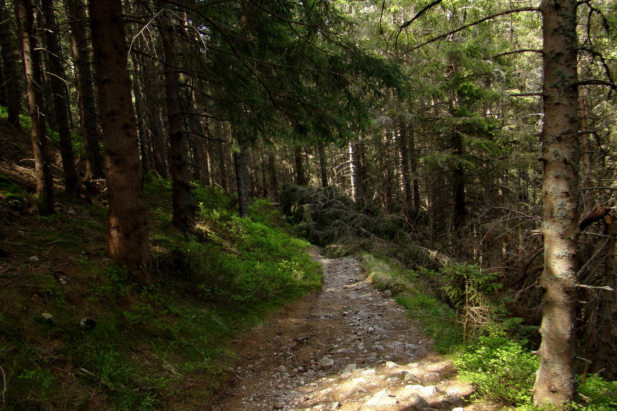 Ďumbier z útulne Brenkus (Nízke Tatry)