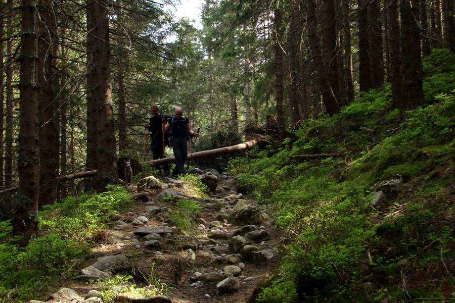 Ďumbier z útulne Brenkus (Nízke Tatry)