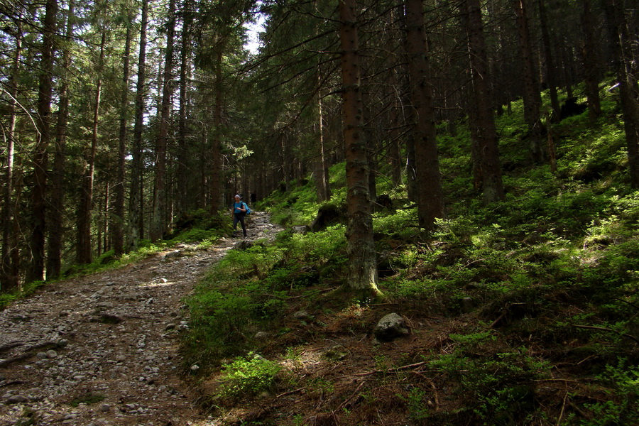 Ďumbier z útulne Brenkus (Nízke Tatry)