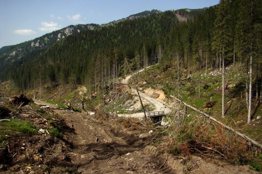 Ďumbier z útulne Brenkus (Nízke Tatry)