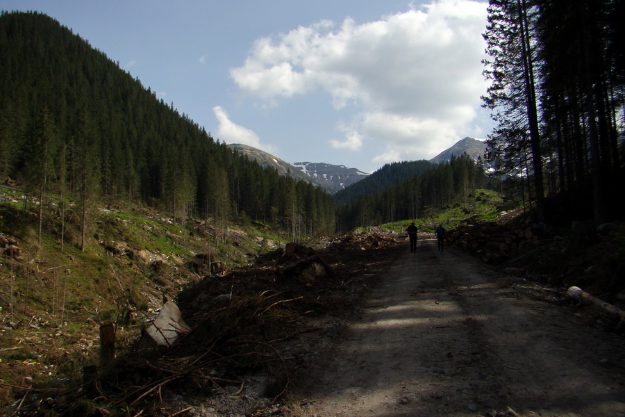 Ďumbier z útulne Brenkus (Nízke Tatry)