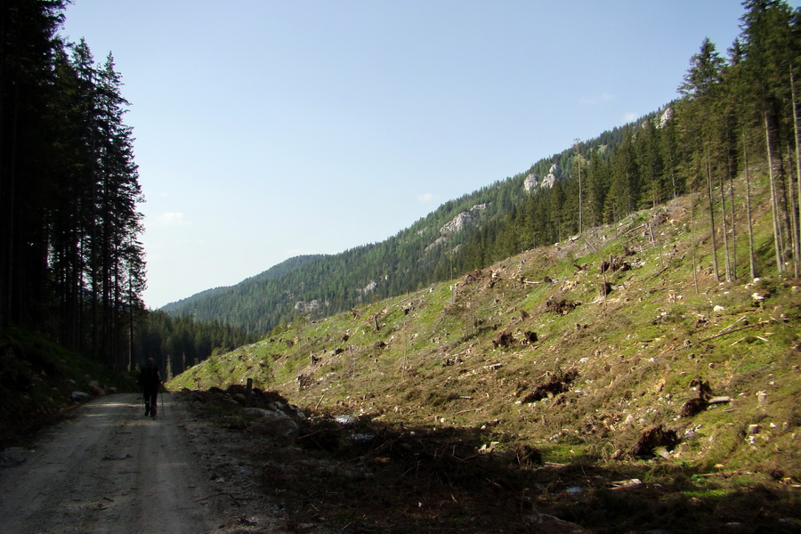 Ďumbier z útulne Brenkus (Nízke Tatry)