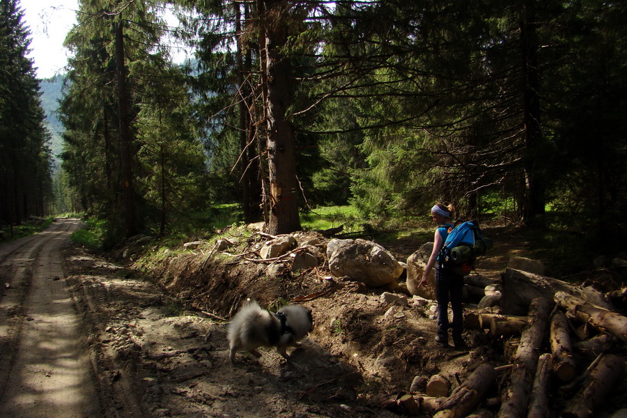 Ďumbier z útulne Brenkus (Nízke Tatry)