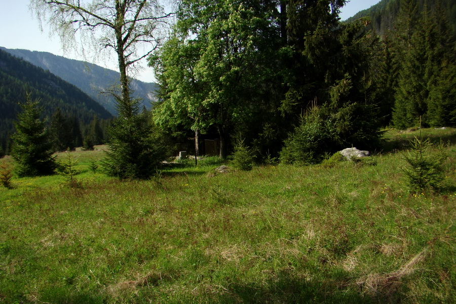 Ďumbier z útulne Brenkus (Nízke Tatry)