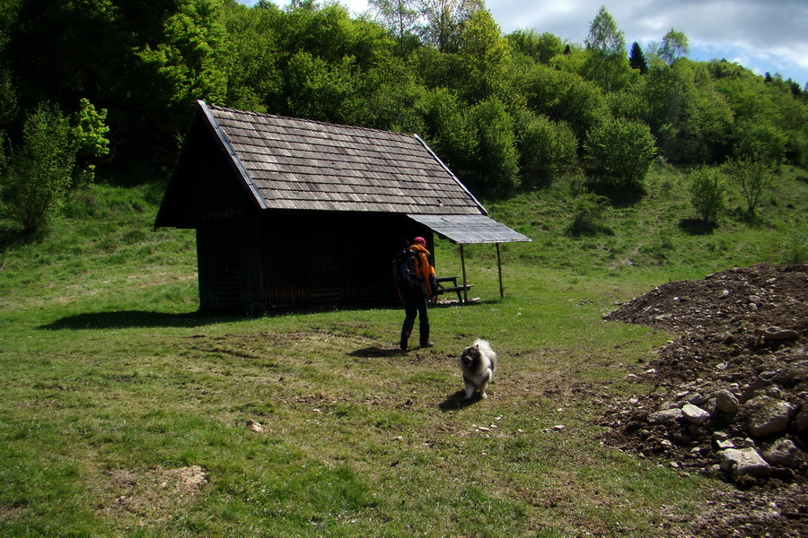 Folkmarská skala cez Turniská (Volovské vrchy)