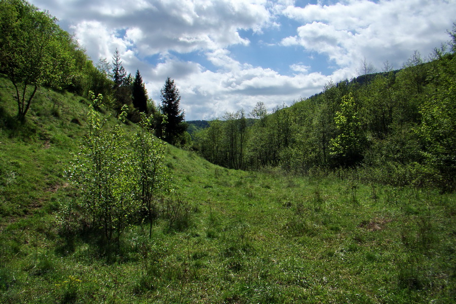 Folkmarská skala cez Turniská (Volovské vrchy)