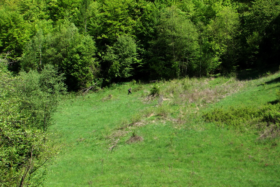 Folkmarská skala cez Turniská (Volovské vrchy)