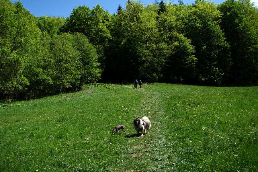 Folkmarská skala cez Turniská (Volovské vrchy)