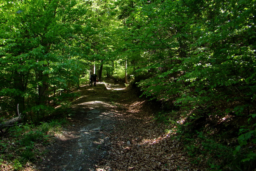 Folkmarská skala cez Turniská (Volovské vrchy)