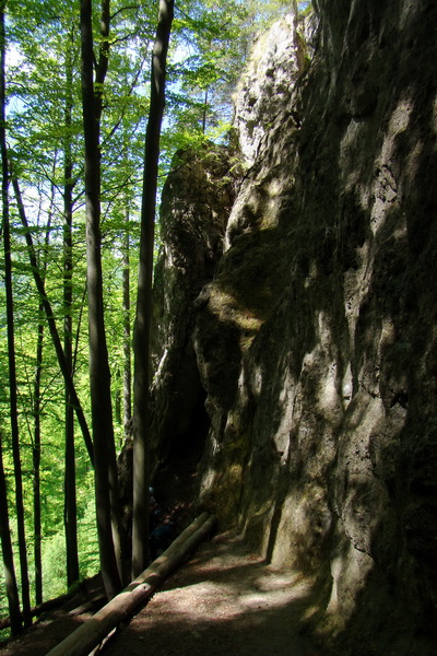 Folkmarská skala cez Turniská (Volovské vrchy)