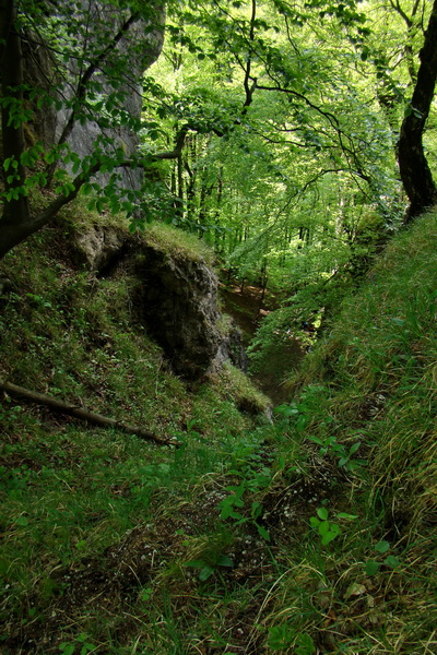 Folkmarská skala cez Turniská (Volovské vrchy)