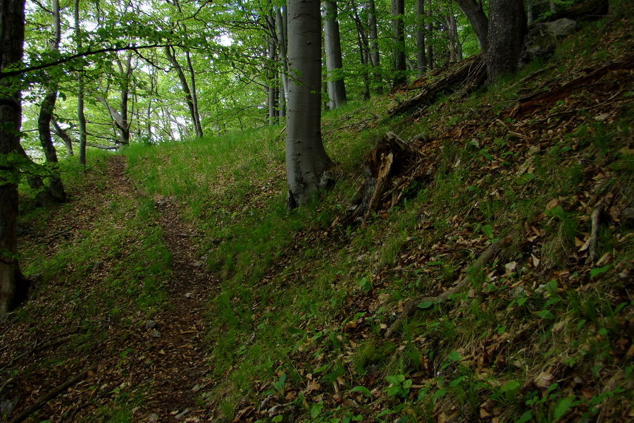 Folkmarská skala cez Turniská (Volovské vrchy)