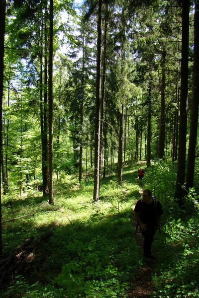 Folkmarská skala cez Turniská (Volovské vrchy)