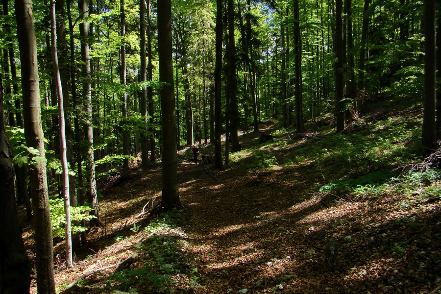 Folkmarská skala cez Turniská (Volovské vrchy)