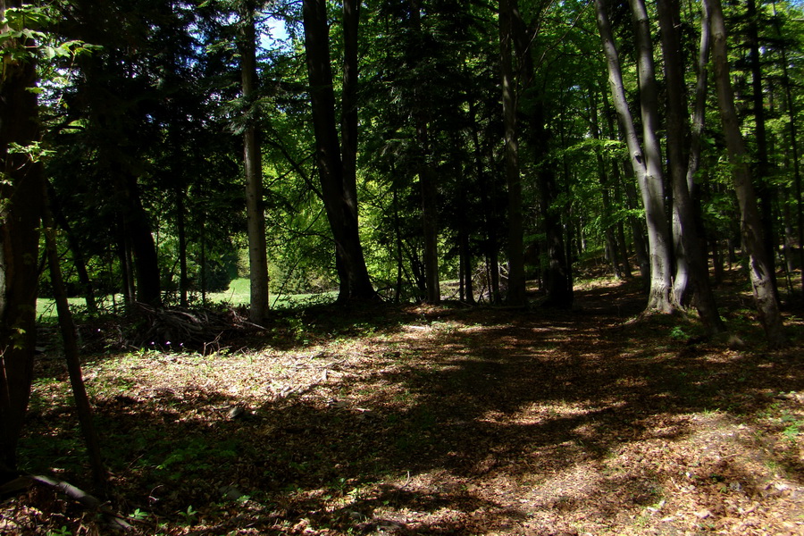 Folkmarská skala cez Turniská (Volovské vrchy)