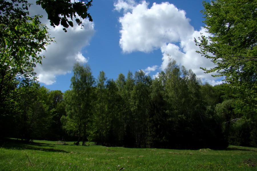 Folkmarská skala cez Turniská (Volovské vrchy)