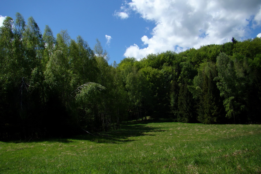 Folkmarská skala cez Turniská (Volovské vrchy)