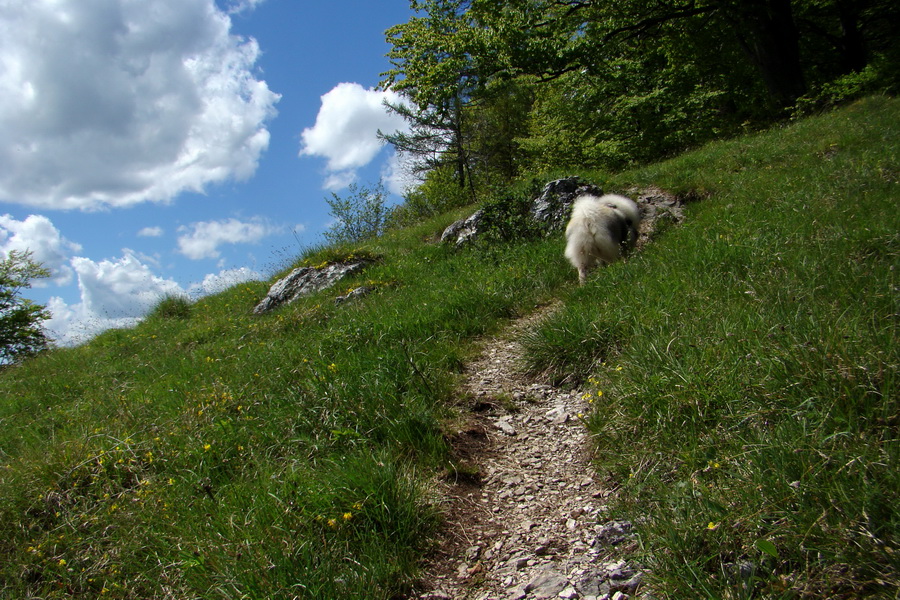 Folkmarská skala cez Turniská (Volovské vrchy)