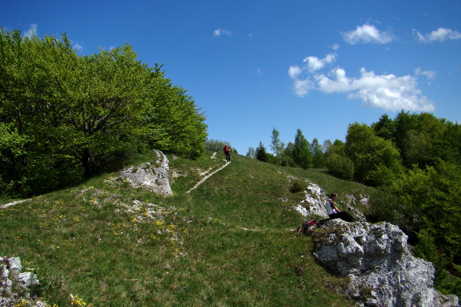 Folkmarská skala cez Turniská (Volovské vrchy)