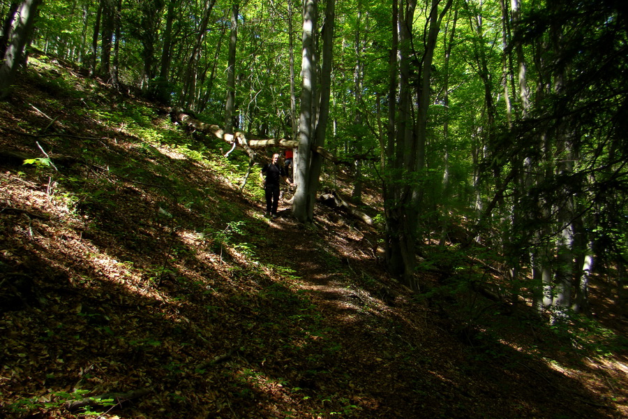 Folkmarská skala cez Turniská (Volovské vrchy)