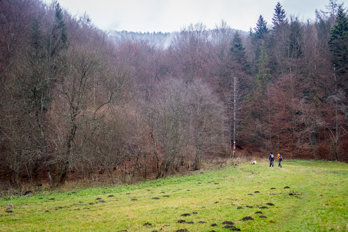 Folkmarská skala z Kojšova (Volovské vrchy)