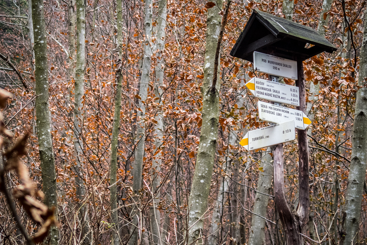 Folkmarská skala z Kojšova (Volovské vrchy)