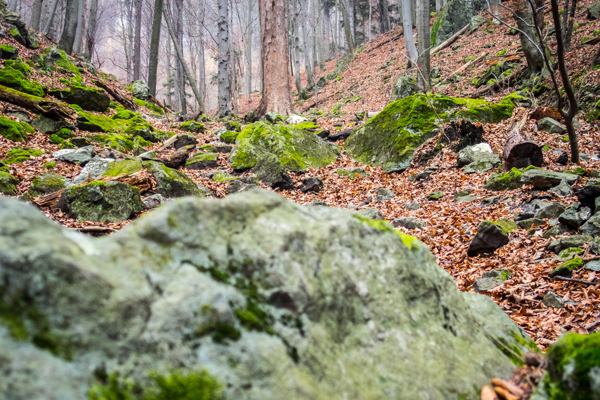 Folkmarská skala z Kojšova (Volovské vrchy)