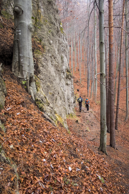 Folkmarská skala z Kojšova (Volovské vrchy)