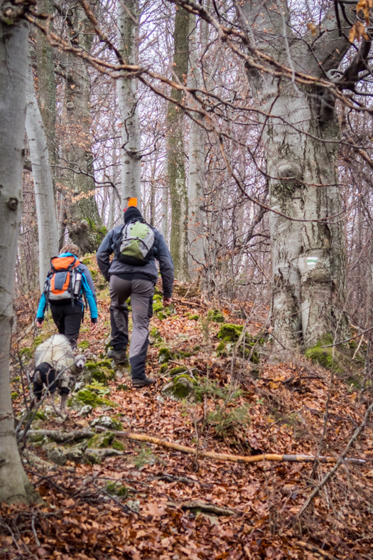 Folkmarská skala z Kojšova (Volovské vrchy)