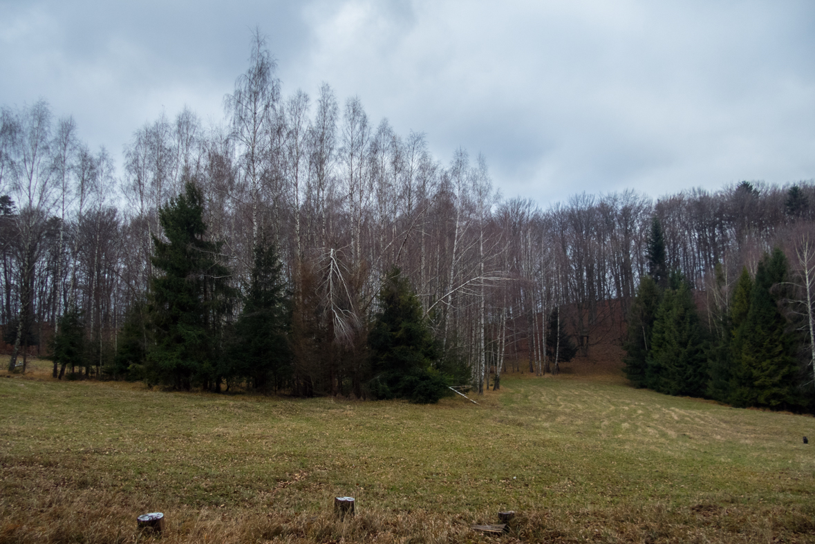 Folkmarská skala z Kojšova (Volovské vrchy)