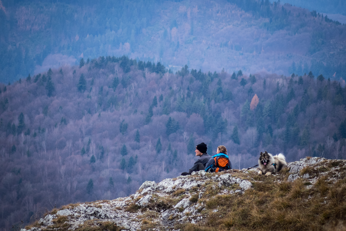 Folkmarská skala z Kojšova (Volovské vrchy)