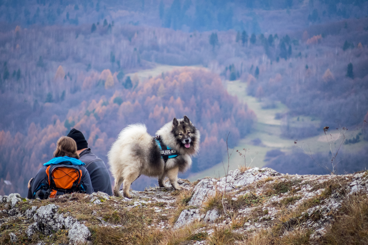 Folkmarská skala z Kojšova (Volovské vrchy)