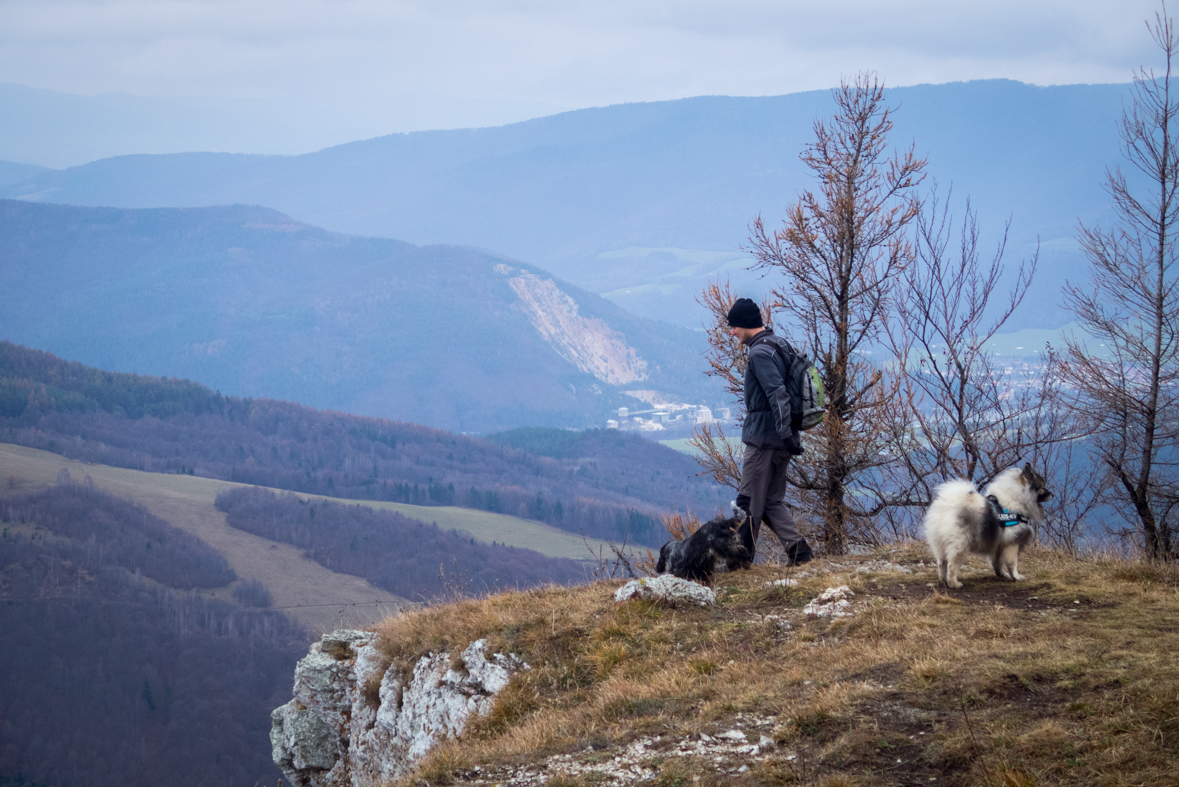 Folkmarská skala z Kojšova (Volovské vrchy)