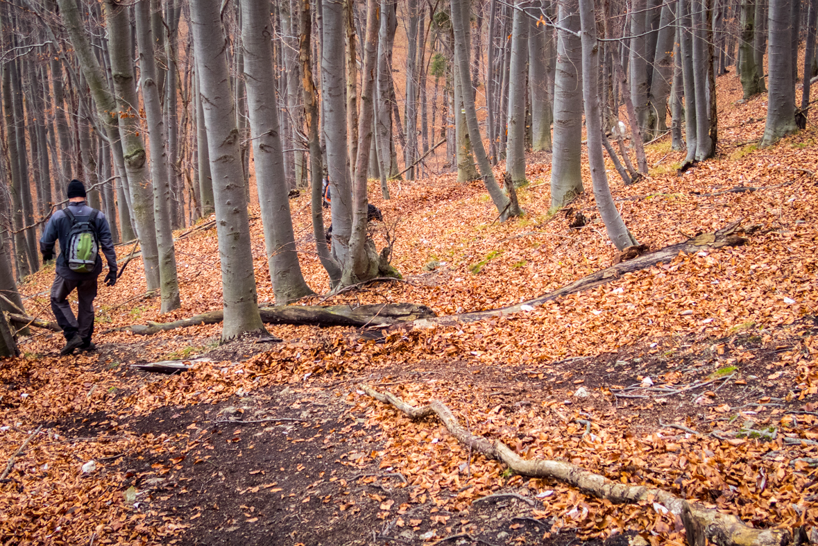 Folkmarská skala z Kojšova (Volovské vrchy)