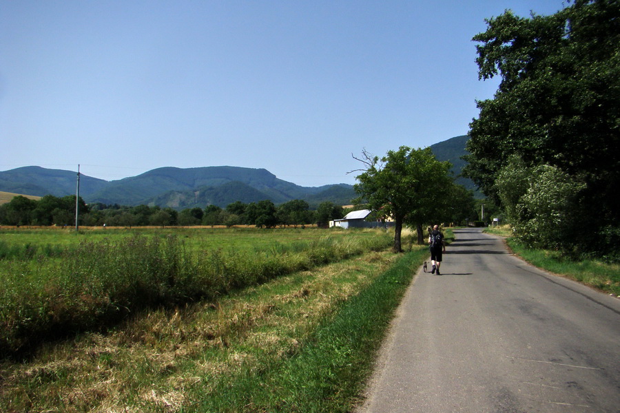 Hermanovské skaly (Slanské vrchy)