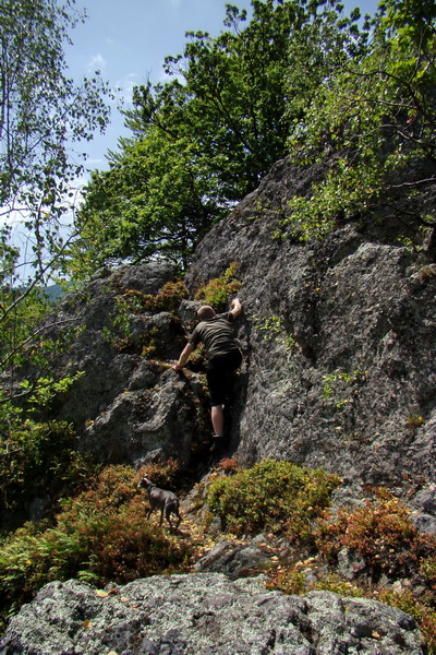 Hermanovské skaly (Slanské vrchy)