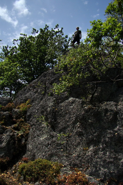 Hermanovské skaly (Slanské vrchy)