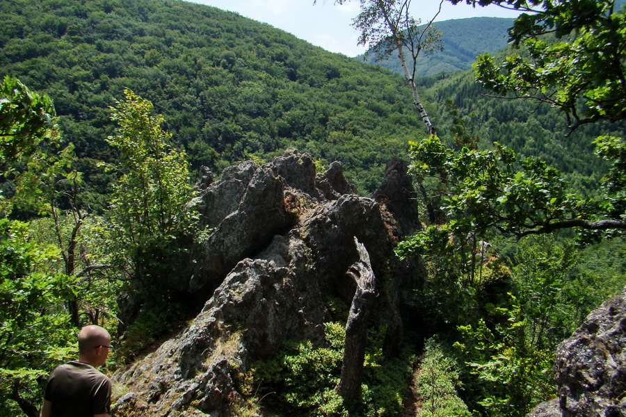 Hermanovské skaly (Slanské vrchy)