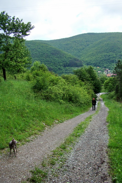 Holica (Napoleonov klobúk) z Malej Lodiny (Čierna hora)