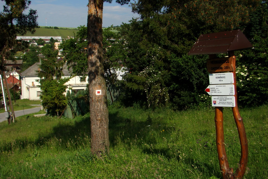 Hrebeňovka Bachurne a Braniska (Branisko)