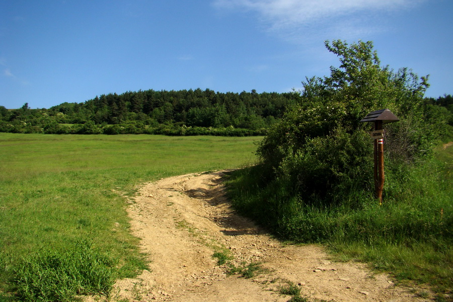 Hrebeňovka Bachurne a Braniska (Branisko)