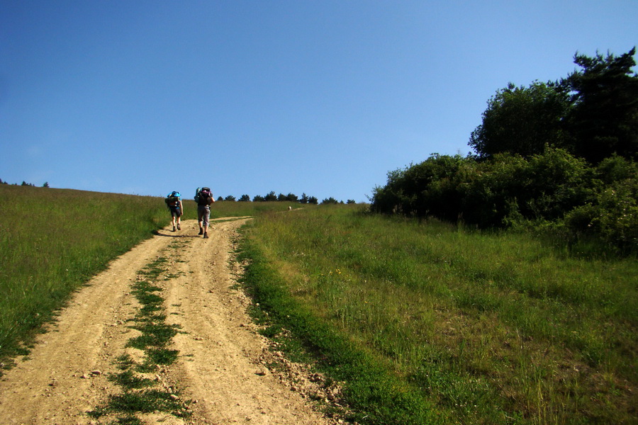 Hrebeňovka Bachurne a Braniska (Branisko)